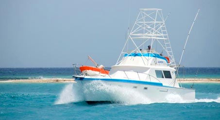 San Juan Boat, Yacht & Fishing Charters